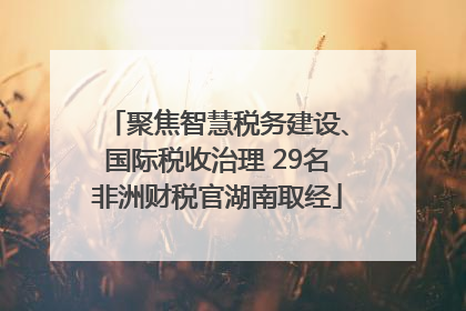 聚焦智慧税务建设、国际税收治理 29名非洲财税官湖南取经
