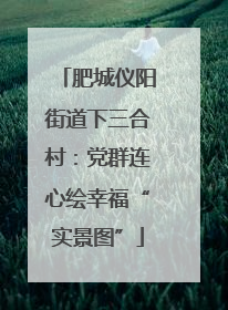 肥城仪阳街道下三合村：党群连心绘幸福“实景图”