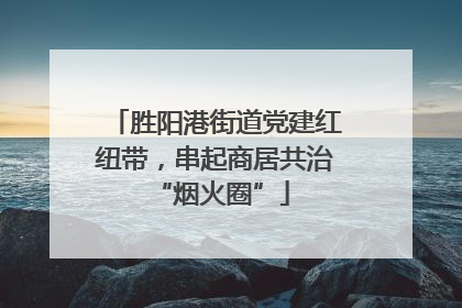 胜阳港街道党建红纽带，串起商居共治 “烟火圈”