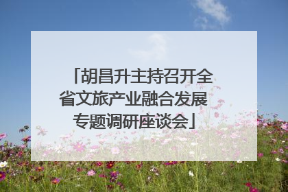 胡昌升主持召开全省文旅产业融合发展专题调研座谈会
