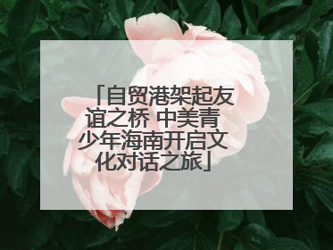 自贸港架起友谊之桥 中美青少年海南开启文化对话之旅
