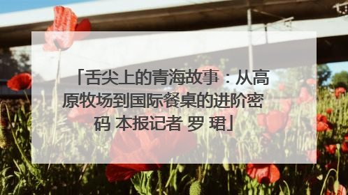 舌尖上的青海故事：从高原牧场到国际餐桌的进阶密码 本报记者 罗 珺