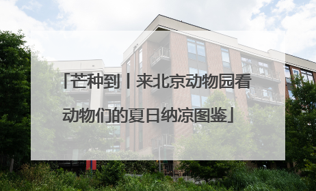芒种到丨来北京动物园看动物们的夏日纳凉图鉴