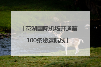 花湖国际机场开通第100条货运航线