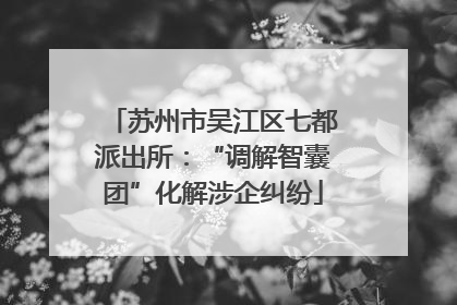 苏州市吴江区七都派出所：“调解智囊团”化解涉企纠纷