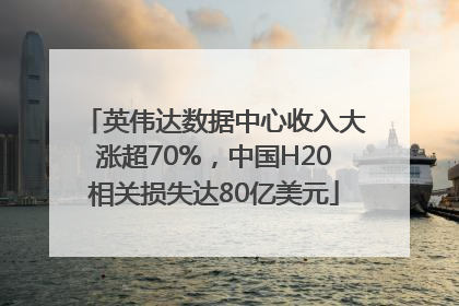 英伟达数据中心收入大涨超70%，中国H20相关损失达80亿美元