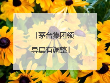茅台集团领导层有调整