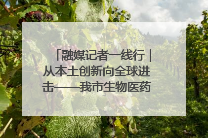 融媒记者一线行｜从本土创新向全球进击——我市生物医药产业破茧突围