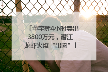 董宇辉4小时卖出3800万元，潜江龙虾火爆“出圈”