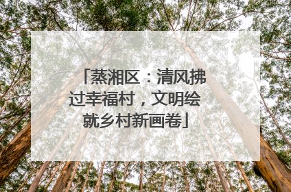 蒸湘区：清风拂过幸福村，文明绘就乡村新画卷