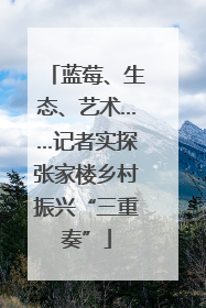 蓝莓、生态、艺术……记者实探张家楼乡村振兴“三重奏”