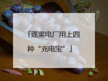 蓬莱电厂用上四种“充电宝”