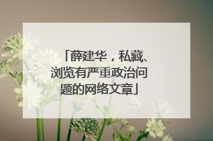 薛建华，私藏、浏览有严重政治问题的网络文章