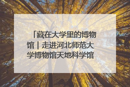 藏在大学里的博物馆｜走进河北师范大学博物馆天地科学馆：在校园里赴一场“宇宙之约”