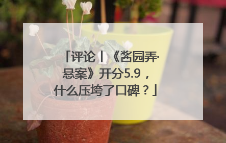 评论丨《酱园弄·悬案》开分5.9，什么压垮了口碑？