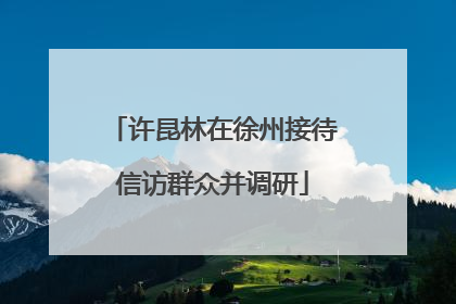 许昆林在徐州接待信访群众并调研