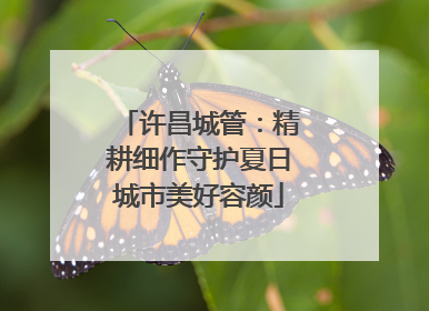 许昌城管：精耕细作守护夏日城市美好容颜