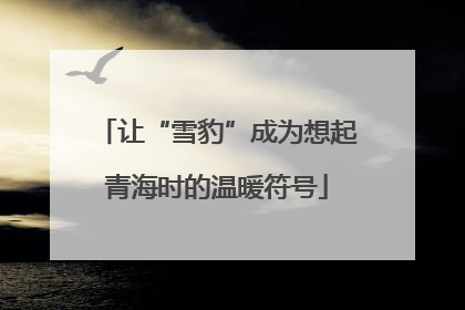 让“雪豹”成为想起青海时的温暖符号
