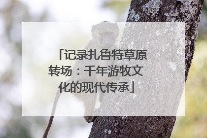 记录扎鲁特草原转场：千年游牧文化的现代传承