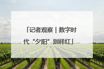 记者观察｜数字时代“夕阳”别样红