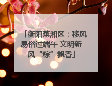 衡阳蒸湘区：移风易俗过端午 文明新风“粽”飘香