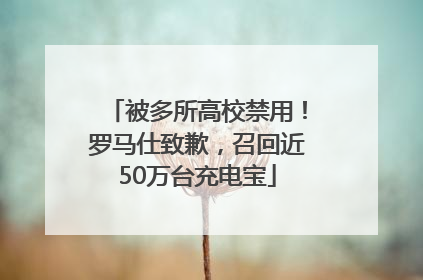 被多所高校禁用！罗马仕致歉，召回近50万台充电宝