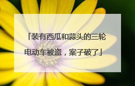 装有西瓜和蒜头的三轮电动车被盗，案子破了