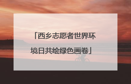 西乡志愿者世界环境日共绘绿色画卷