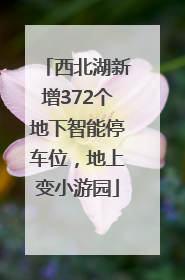 西北湖新增372个地下智能停车位，地上变小游园