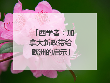 西学者：加拿大新政带给欧洲的启示