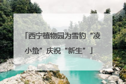 西宁植物园为雪豹“凌小蛰”庆祝“新生”