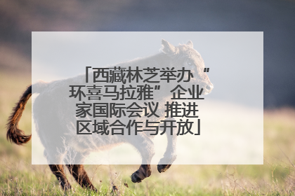 西藏林芝举办“环喜马拉雅”企业家国际会议 推进区域合作与开放