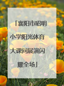 襄阳市昭明小学阳光体育大课间展演闪耀全场