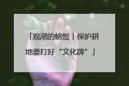 观潮的螃蟹丨保护耕地要打好“文化牌”