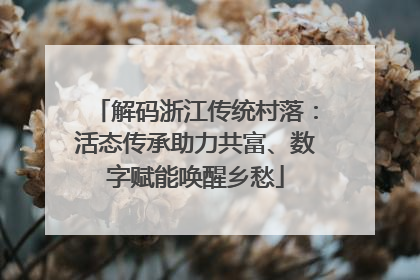 解码浙江传统村落：活态传承助力共富、数字赋能唤醒乡愁