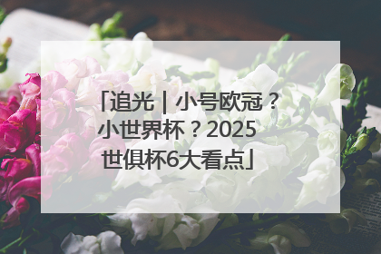 追光｜小号欧冠？小世界杯？2025世俱杯6大看点