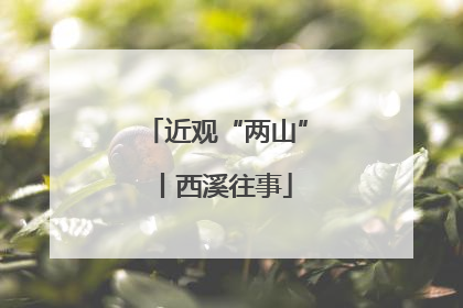 近观“两山”丨西溪往事