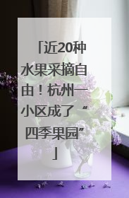 近20种水果采摘自由！杭州一小区成了“四季果园”