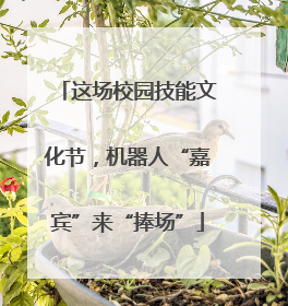 这场校园技能文化节，机器人“嘉宾”来“捧场”