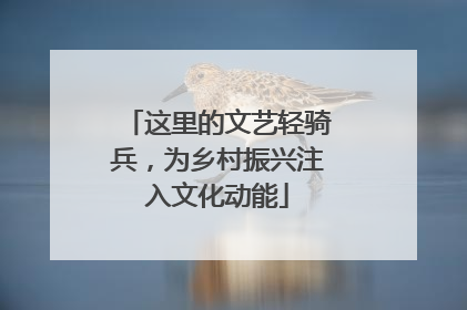 这里的文艺轻骑兵，为乡村振兴注入文化动能