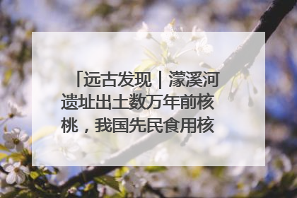 远古发现｜濛溪河遗址出土数万年前核桃，我国先民食用核桃历史大幅提前