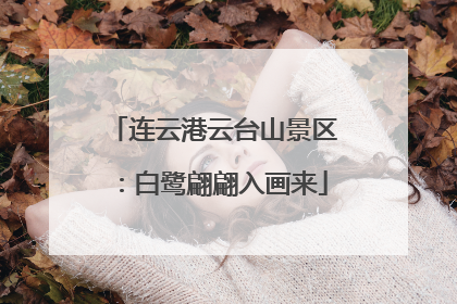 连云港云台山景区：白鹭翩翩入画来
