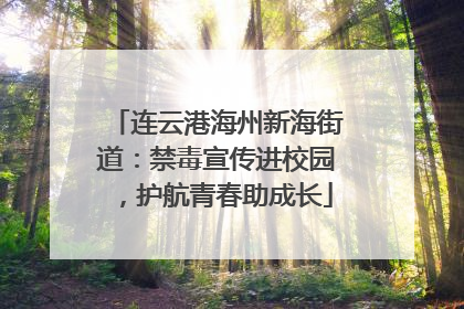 连云港海州新海街道：禁毒宣传进校园，护航青春助成长