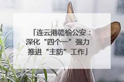 连云港赣榆公安：深化“四个一”强力推进“主防”工作