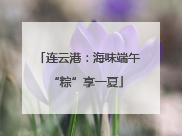 连云港：海味端午 “粽”享一夏