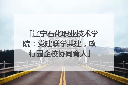 辽宁石化职业技术学院：党建联学共建，政行园企校协同育人