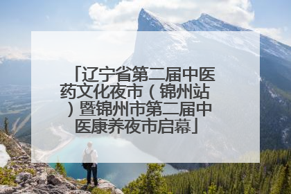 辽宁省第二届中医药文化夜市（锦州站）暨锦州市第二届中医康养夜市启幕