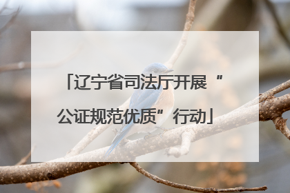 辽宁省司法厅开展“公证规范优质”行动