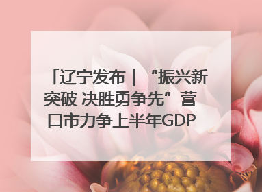 辽宁发布｜“振兴新突破 决胜勇争先”营口市力争上半年GDP增长6%左右