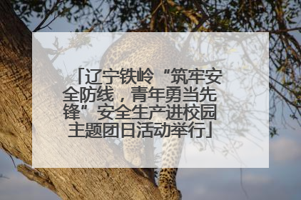 辽宁铁岭“筑牢安全防线，青年勇当先锋”安全生产进校园主题团日活动举行